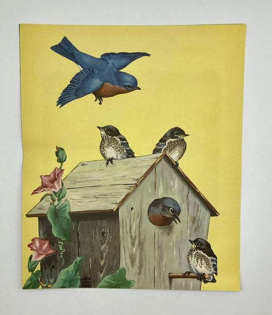 1930’s Jacob Bates Abbott Blue Bird Print /b