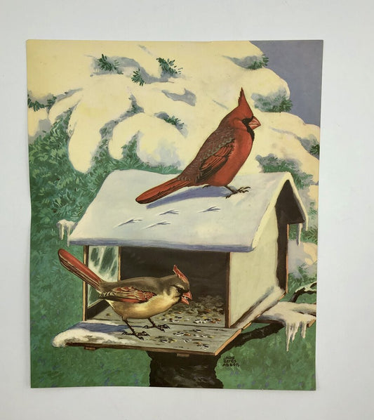 1930’s Jacob Bates Abbott Cardinal Birds Print /b