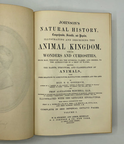 1879 The Animal Kingdom Illustrated/ Johnson’s Natural History Vol 1 Book /b