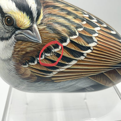 Ah/ M. Vick Fond of Seeds White-Throated Hand Painted Bird Rock