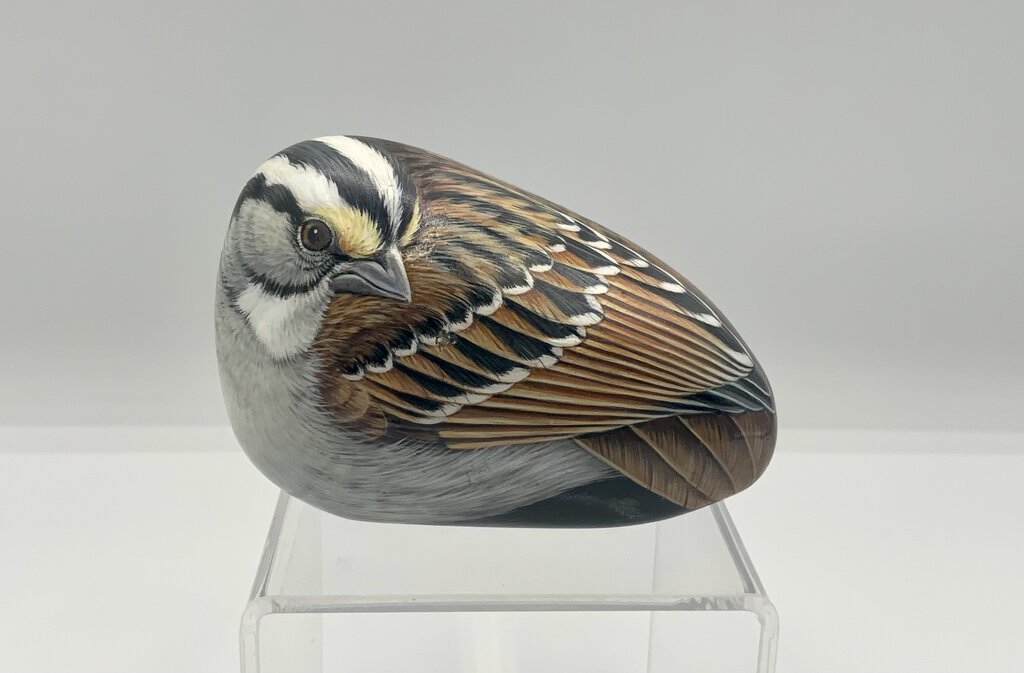 Ah/ M. Vick Fond of Seeds White-Throated Hand Painted Bird Rock